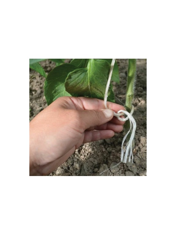 Шпагат полипропиленовый, длина 125 м, диаметр 2 мм, линейная плотность 1600 текс BRAUBERG 600398