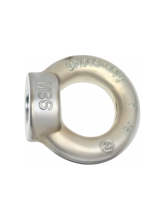 Подъёмная рым гайка для подъёма по оси гайки HAKLIFT DIN 582 NSM36