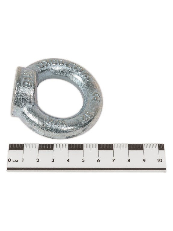 Подъёмная рым гайка для подъёма по оси гайки HAKLIFT DIN 582 NSM16