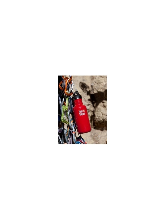 Карабин Klean Kanteen Steel S-biner №3 1000461