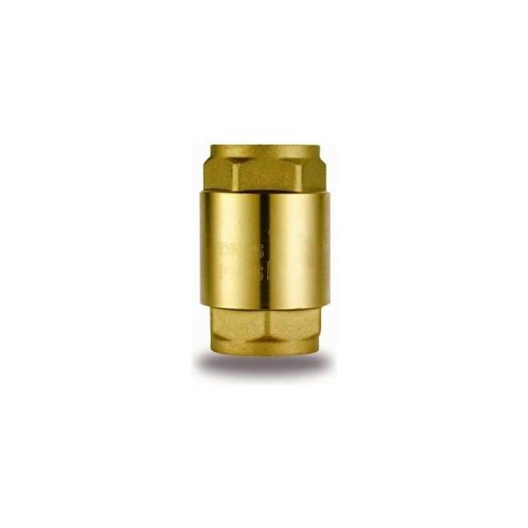 Обратный клапан Rvc 2" с пластиковым седлом 00256 Обратный клапан Rvc 2" с пластиковым седлом 00256