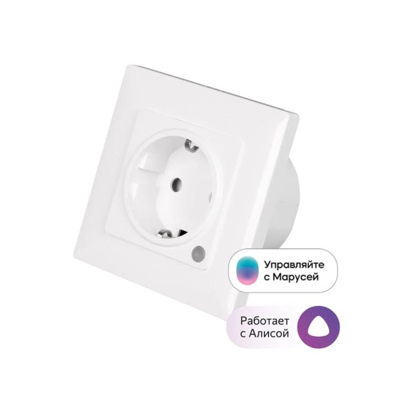 Встраиваемая розетка SLS OUT-06 WiFi white SLS-OUT-06WFWH