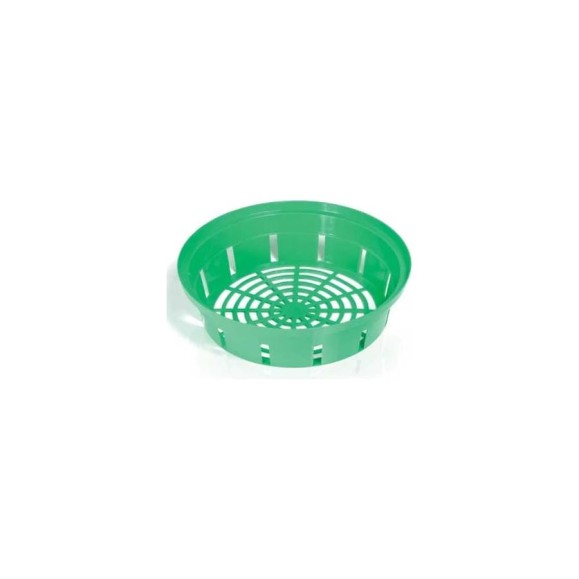 Корзина для луковичных Prosperplast IKCE2-G642 ONION d 23 см, h 6.4 см, зеленый 069714 Корзина для луковичных Prosperplast IKCE2-G642 ONION d 23 см, h 6.4 см, зеленый 069714