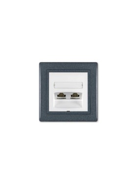 Компьютерная двойная розетка с Keystone модулями Aling-conel PRESTIGE 2хRJ45 кат.5e FTP графит-графит-белый арт. 614S.220 Компьютерная двойная розетка с Keystone модулями Aling-conel PRESTIGE 2хRJ45 кат.5e FTP графит-графит-белый арт. 614S.220