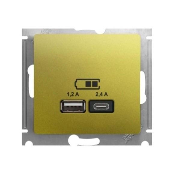 Usb розетка a+с, Systeme Electric Glossa фисташковый 5в/2,4а, 2x5в/1,2 а GSL001039 Usb розетка a+с, Systeme Electric Glossa фисташковый 5в/2,4а, 2x5в/1,2 а GSL001039