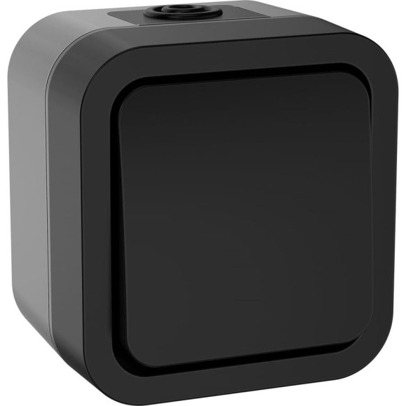 Переключатель одноклавишный IEK Tors 10а ip55 ts101 графит TS-V10-0-10-55-K53 Переключатель одноклавишный IEK Tors 10а ip55 ts101 графит TS-V10-0-10-55-K53