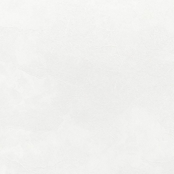 Обои на флизелиновой основе Erismann Profi Deco Veter, 1.06x10.05 м 60560-01 Обои на флизелиновой основе Erismann Profi Deco Veter, 1.06x10.05 м 60560-01