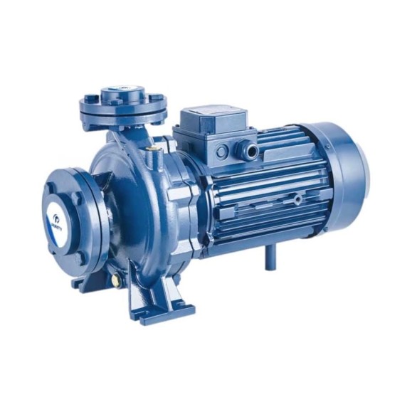 Моноблочный фланцевый насосный агрегат Purity PSTC 40-160/40 (N) 100588141 Моноблочный фланцевый насосный агрегат Purity PSTC 40-160/40 (N) 100588141
