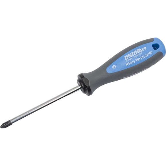 Крестовая отвертка Unior PH рукоятка TBI, PH 2x100 3838909117041 Крестовая отвертка Unior PH рукоятка TBI, PH 2x100 3838909117041