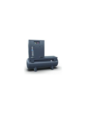 Винтовой компрессор Cross Air CA5.5-10RA-500DRY 00-00002539 Винтовой компрессор Cross Air CA5.5-10RA-500DRY 00-00002539