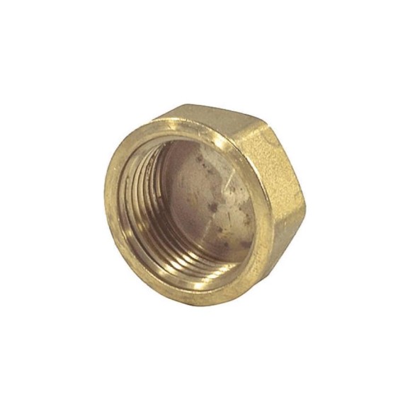 Пробка латунная для коллектора Giacomini 24/19 вн/р R594Y002 040-0590 Пробка латунная для коллектора Giacomini 24/19 вн/р R594Y002 040-0590