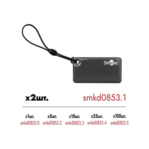Cмарт брелок Smartec ST-PT015MF-GR Mifare-совместимая 1K, серый, 50x25x4 мм Уп. 2шт smkd0853.1 Cмарт брелок Smartec ST-PT015MF-GR Mifare-совместимая 1K, серый, 50x25x4 мм Уп. 2шт smkd0853.1