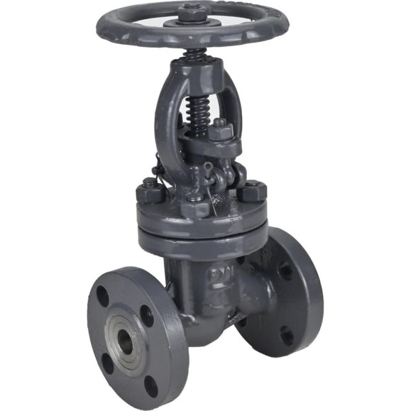 Клапан запорный сальниковый DN.ru 15с65нж WCB-WCB-M-F-S Ду40 Ру16 D090-02857