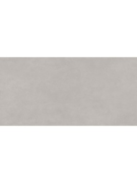 Керамогранит Лайф Цемент серый / Life Cement Gray матовый 1200х600х9,5 1,44м2 серый (2 шт в уп.) Delacora D120237M