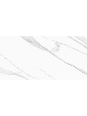 Керамогранит Лайф Калакатта / Life Calacatta матовый 1200х600х9,5 1,44м2 белый (2 шт в уп.) Delacora D120239M