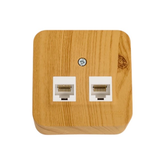 Двойная компьютерная розетка Systeme Electric Blanca открытой установки, rj45, кат.5e, изолирующая пластина, ясень BLNIA045455 Двойная компьютерная розетка Systeme Electric Blanca открытой установки, rj45, кат.5e, изолирующая пластина, ясень BLNIA045455