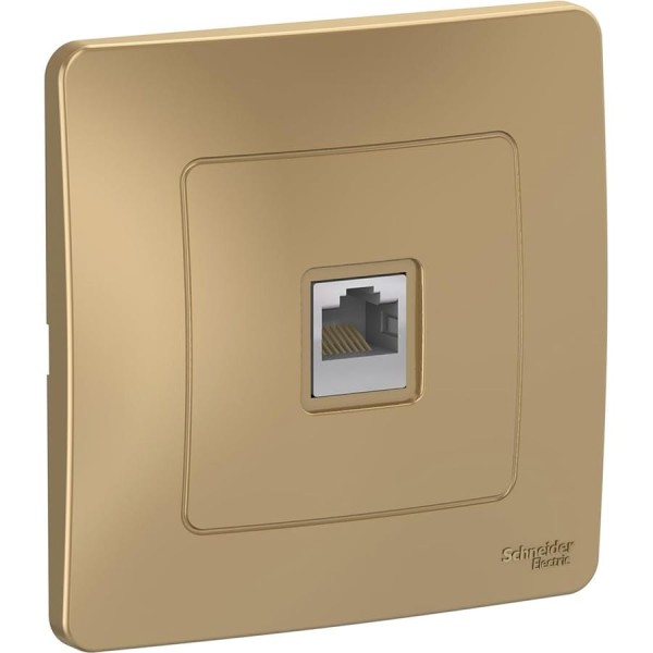 Розетка компьютерная Systeme Electric ( Schneider Electric) Blanca внутр Титан, RJ45 SE BLNIS045004 10 шт 13606481195439