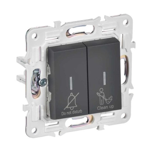 Выключатель 2-клавишный IEK BRITE с индикацией, отельный, 10А, графит SK-V16G SK-V20-2-10-K53 Выключатель 2-клавишный IEK BRITE с индикацией, отельный, 10А, графит SK-V16G SK-V20-2-10-K53
