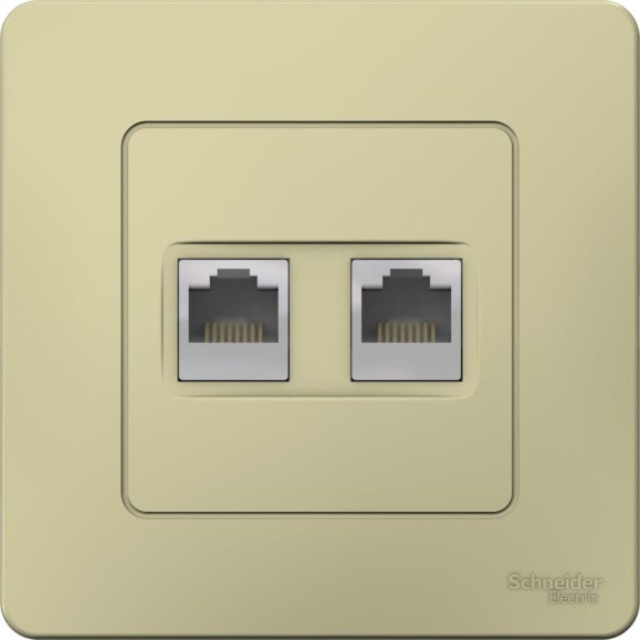 Двойная компьютерная розетка Systeme Electric Blanca скрытой установки, rj45, кат.5e, бежевый BLNIS045457 Двойная компьютерная розетка Systeme Electric Blanca скрытой установки, rj45, кат.5e, бежевый BLNIS045457