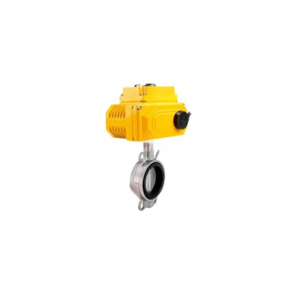 Затвор дисковый поворотный DN.ru 316L-316L-VITON Ду50 Ру16L, эл.привод 003 blue 12В D050-93598 Затвор дисковый поворотный DN.ru 316L-316L-VITON Ду50 Ру16L, эл.привод 003 blue 12В D050-93598