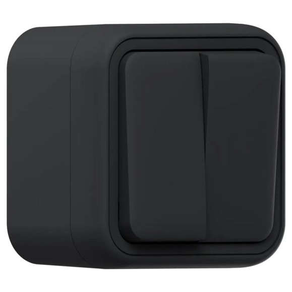 Выключатель двухклавишный EKF Бронто ОП, автоматические клеммы, антрацит BT1-SWA-20 Выключатель двухклавишный EKF Бронто ОП, автоматические клеммы, антрацит BT1-SWA-20