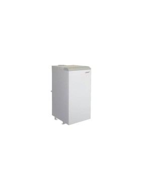 Газовый напольный котел Protherm Медведь 30 KLZ 10005749