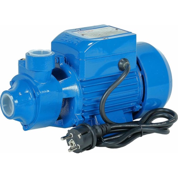 Вихревой насос AquamotoR ARQB 60 AR152001 Вихревой насос AquamotoR ARQB 60 AR152001