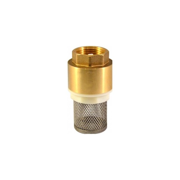 Обратный клапан СТМ с сеткой 1" CBCVF001 Обратный клапан СТМ с сеткой 1" CBCVF001
