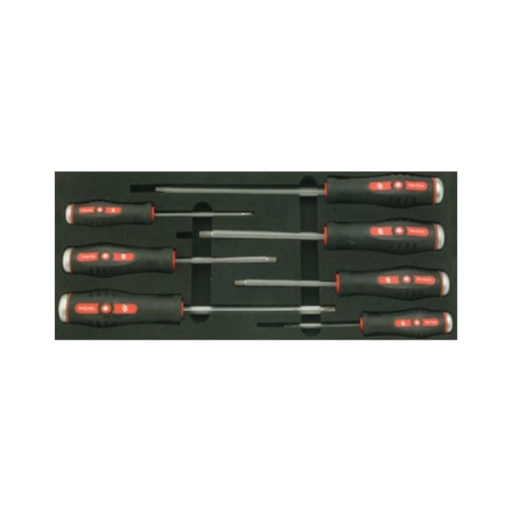 Отвертки (ложемент, Torx) Станкоимпорт BX005T Отвертки (ложемент, Torx) Станкоимпорт BX005T