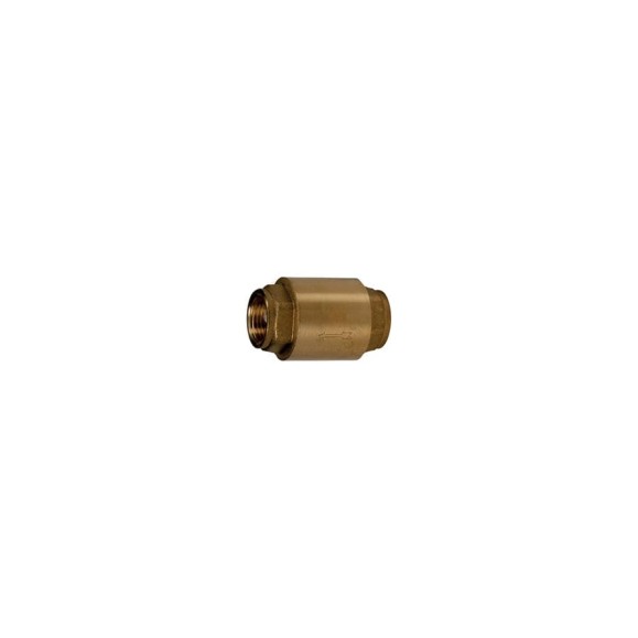 Обратный клапан Giacomini R60, дисковый, 1 1/4, ВВ, PN, бар-10 R60Y006 Обратный клапан Giacomini R60, дисковый, 1 1/4, ВВ, PN, бар-10 R60Y006