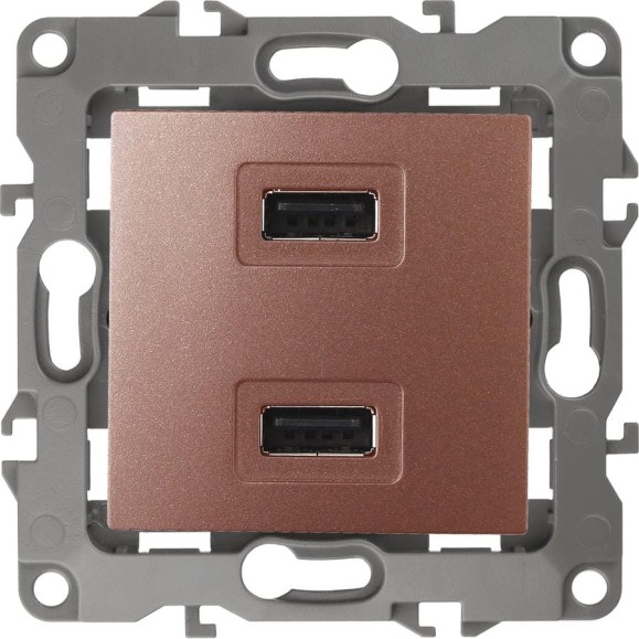 Зарядное устройство USB ЭРА 12-4110-14 230В/5В-2100мА, IP20, 12, медь Б0027499 Зарядное устройство USB ЭРА 12-4110-14 230В/5В-2100мА, IP20, 12, медь Б0027499