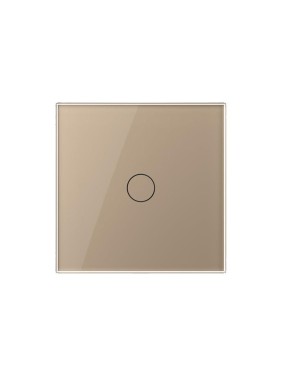 Одноклавишный сенсорный выключатель Bingoelec W1-101 WiFi золотой 061
