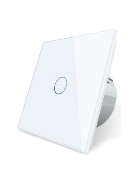 Одноклавишный сенсорный выключатель Bingoelec W1-101 WiFi белый 059