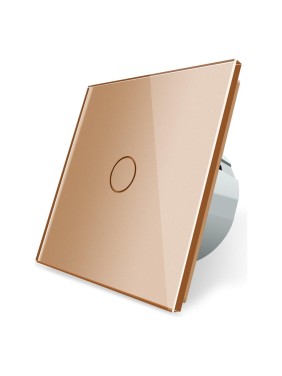 Одноклавишный сенсорный выключатель Bingoelec W1-D101, Диммер WiFi золотой 040