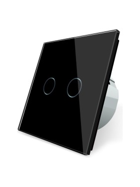 Двухклавишный сенсорный выключатель Bingoelec W1-201, WiFi черный 063