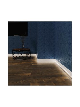 Напольный плинтус Evrowood PN 100 LED 100x16x2000 мм PN100LED Напольный плинтус Evrowood PN 100 LED 100x16x2000 мм PN100LED