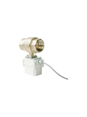Шаровой электропривод Gidrolock PROFESSIONAL 12V ENOLGAS 1 1/4 11021044 Шаровой электропривод Gidrolock PROFESSIONAL 12V ENOLGAS 1 1/4 11021044