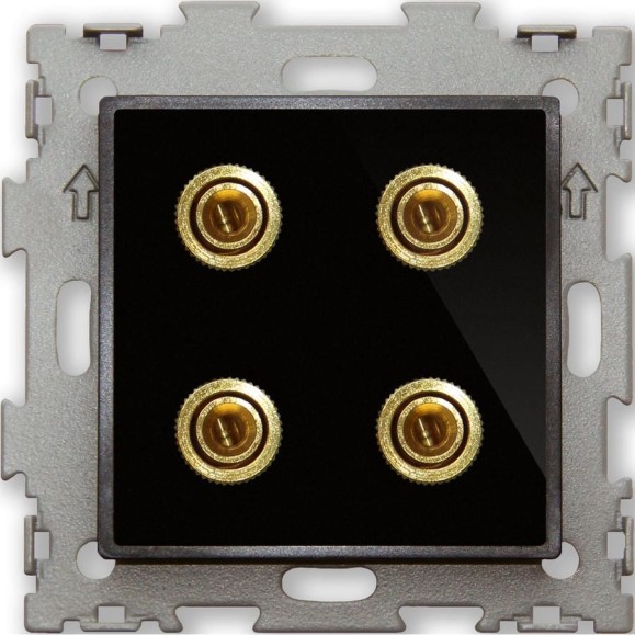 Аудио розетка CGSS Hi-End черная Эстетика GL-W201A-BCG