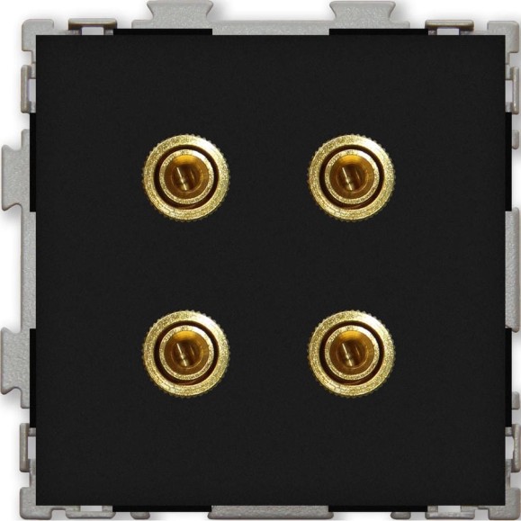 Аудио розетка CGSS Hi-End черная Практика PL-W201A-BCM