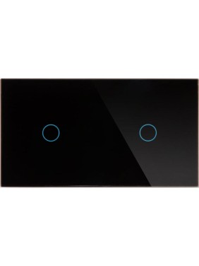 Панель для двух механизмов CGSS на одну линию 1 1 черная Эстетика 157х86 WT-P01 1-BCG