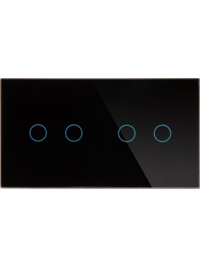 Панель для двух механизмов CGSS на две линии 2 2 черная Эстетика 157х86 WT-P04-BCG