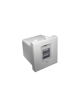 Модуль LANMASTER USB-зарядки, 2 порта, 45x45, белый LAN-EZ45x45-2U/R2-WH Модуль LANMASTER USB-зарядки, 2 порта, 45x45, белый LAN-EZ45x45-2U/R2-WH