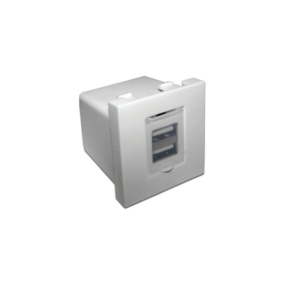 Модуль LANMASTER USB-зарядки, 2 порта, 45x45, белый LAN-EZ45x45-2U/R2-WH
