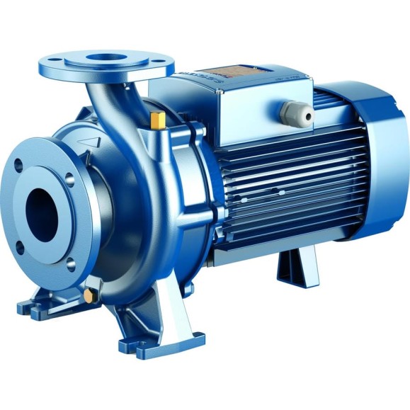 Насос PEDROLLO Fm 32/160 B без контрфланцев 4FN32159B1A1 Насос PEDROLLO Fm 32/160 B без контрфланцев 4FN32159B1A1