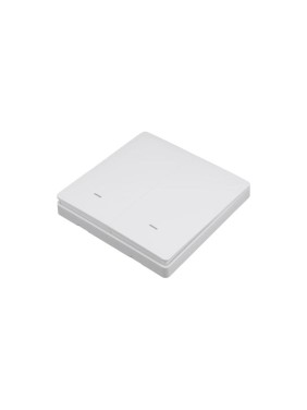 Портативный выключатель GEOZON PS-02 для модуля WR-01 2-канальный ,CR2032, FR434, white GSH-SСE02