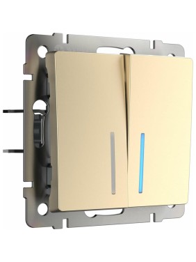 Двухклавишный проходной выключатель WERKEL W1122111 с подсветкой шампань a050861 Двухклавишный проходной выключатель WERKEL W1122111 с подсветкой шампань a050861