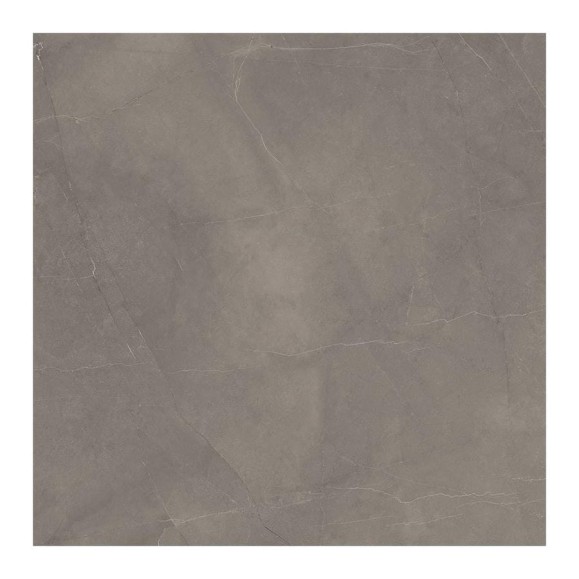 Керамогранит LAPARET Splash grey серый 60x60 см, сатинированный, карвинг, 1.44 кв. м, 4 шт. х9999293153 Керамогранит LAPARET Splash grey серый 60x60 см, сатинированный, карвинг, 1.44 кв. м, 4 шт. х9999293153