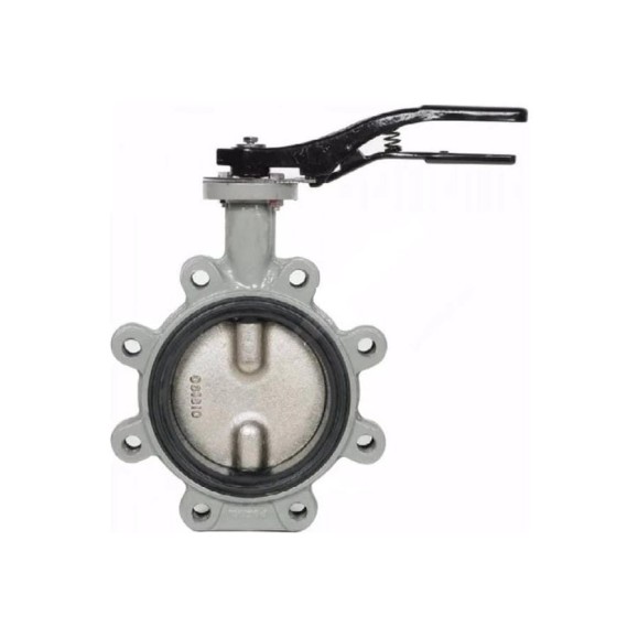 Дисковый поворотный затвор с проушинами Giacomini DN125 R59FLX012