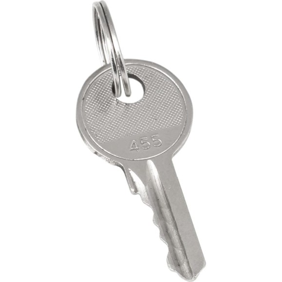 Ключ для замка EKF арт. 18-16/38-ip31 20 штук proxima key-2 Ключ для замка EKF арт. 18-16/38-ip31 20 штук proxima key-2