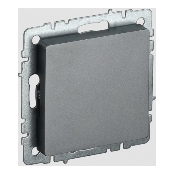 Заглушка с суппортом IEK Brite мз10-брс сталь BR-PL10-K46 Заглушка с суппортом IEK Brite мз10-брс сталь BR-PL10-K46